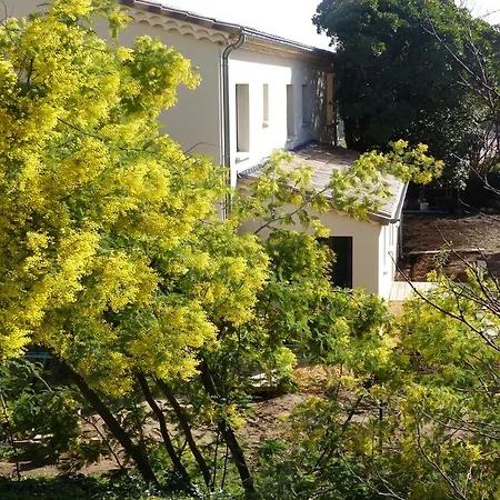 Clos De Beauregard *